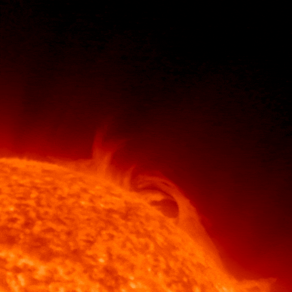 February 1, 2023, sun activity. Animation shows a prominence coming out of the sun.