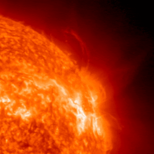 January 24, 2023 Sun activity shows filaments and prominences on the northwest limb (edge).
