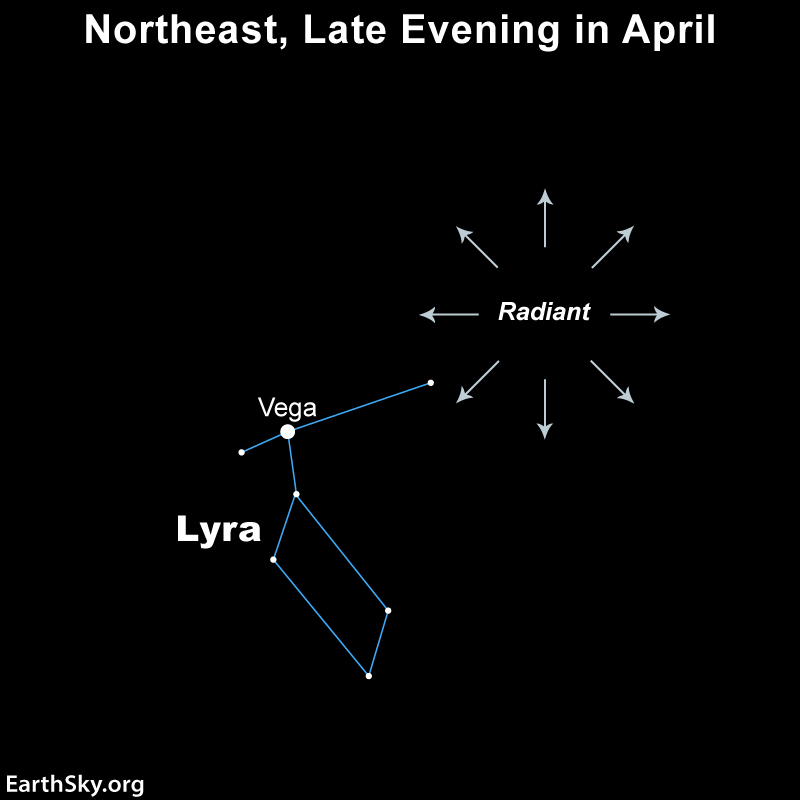 Chart showing constellation Lyra and radial arrows from meteor shower radiant point near it.