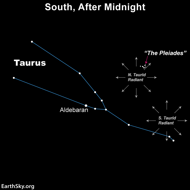 Taurid meteors: Star chart showing constellation Taurus with 2 sets of radial arrows, 1 near the Pleiades.