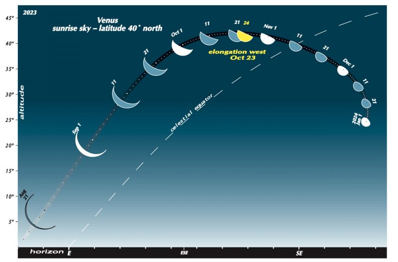 Arc of many positions of Venus, starting on left as a thin crescent and changing to a gibbous shape.