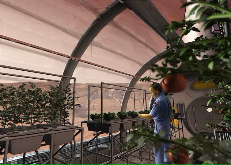 Illustration of a man in uniform in a greenhouse on Mars tending to plants.