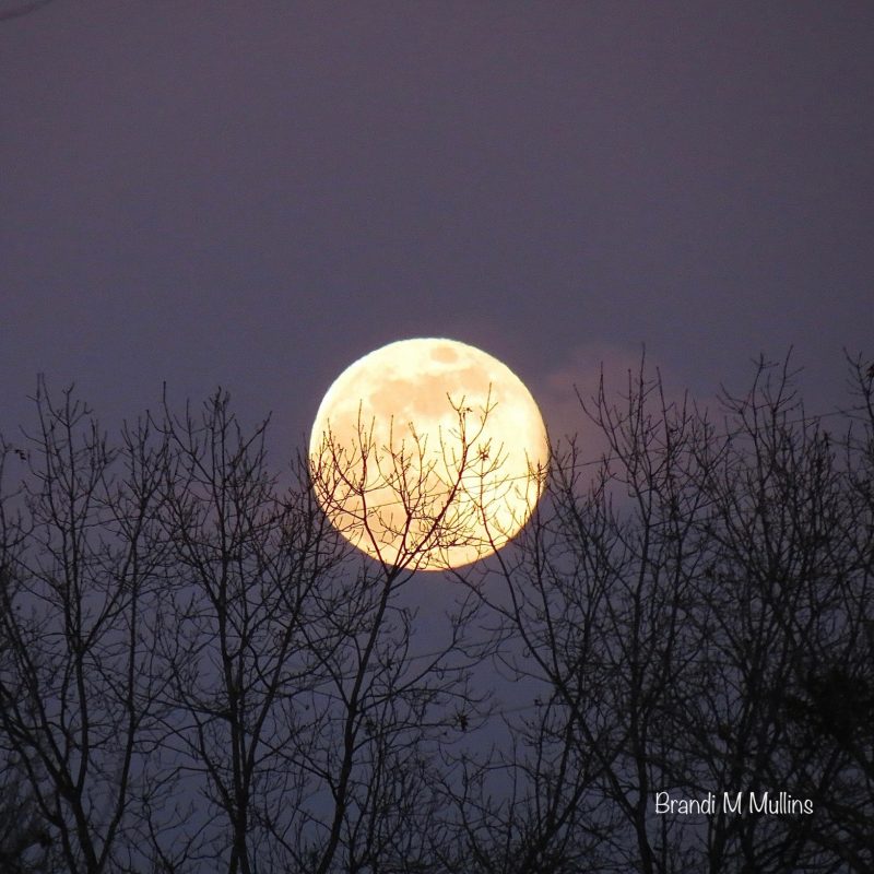 The January full moon is the Wolf Moon | EarthSky