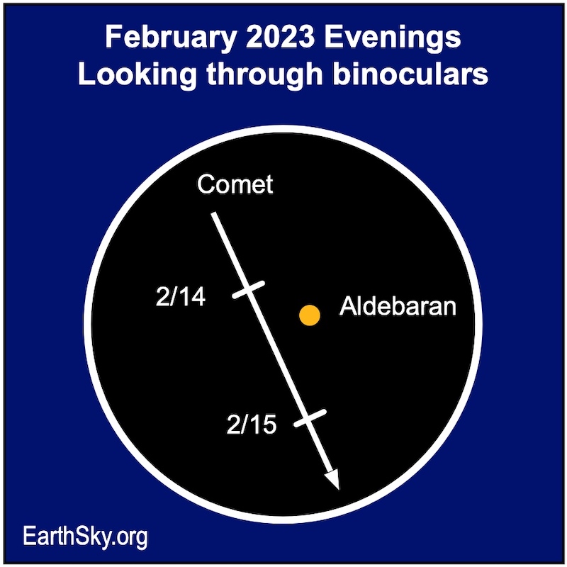 Circular star chart (binocular view) showing arrow of comet's motion past orange dot of Aldebaran.