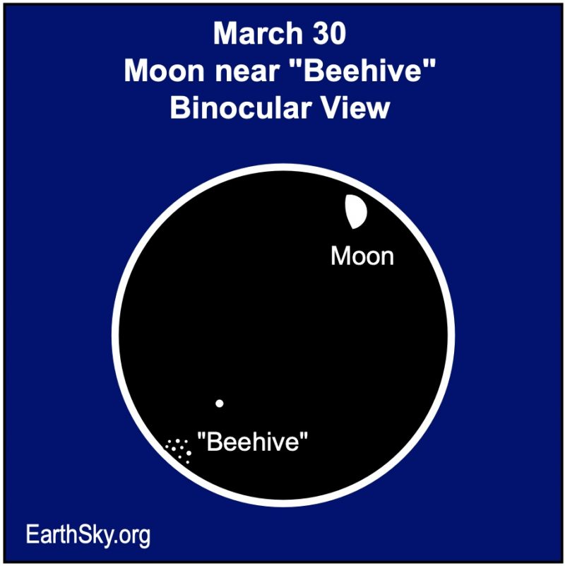 Circle showing binocular view with a cluster of dots representing the Beehive cluster and a gibbous moon.