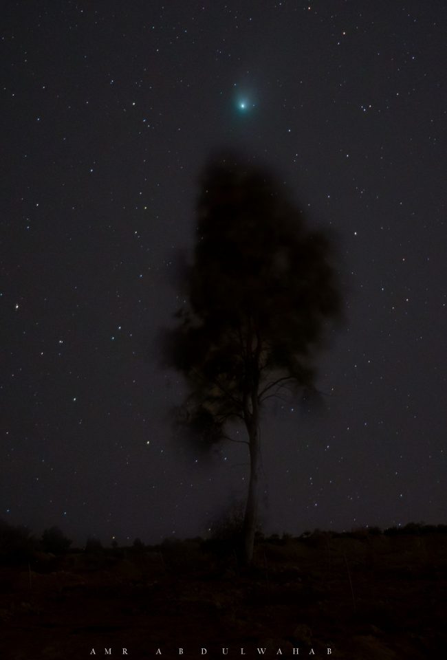 Panoramic view of the night sky with a tree silhouette ans a small, green comet.