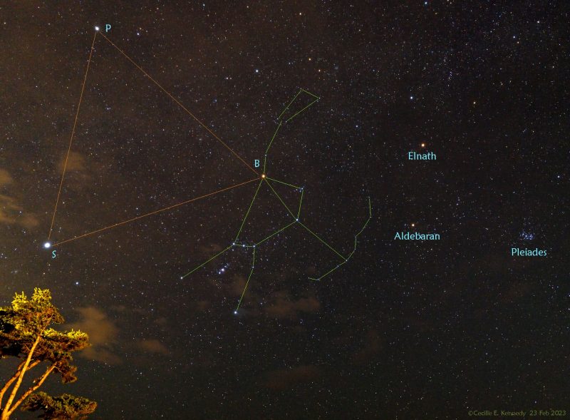 Starry sky witih constellation lines drawn in for Orion and the winter triangle.