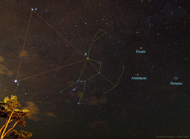 Starry sky witih constellation lines drawn in for Orion and the winter triangle and several stars labeled.