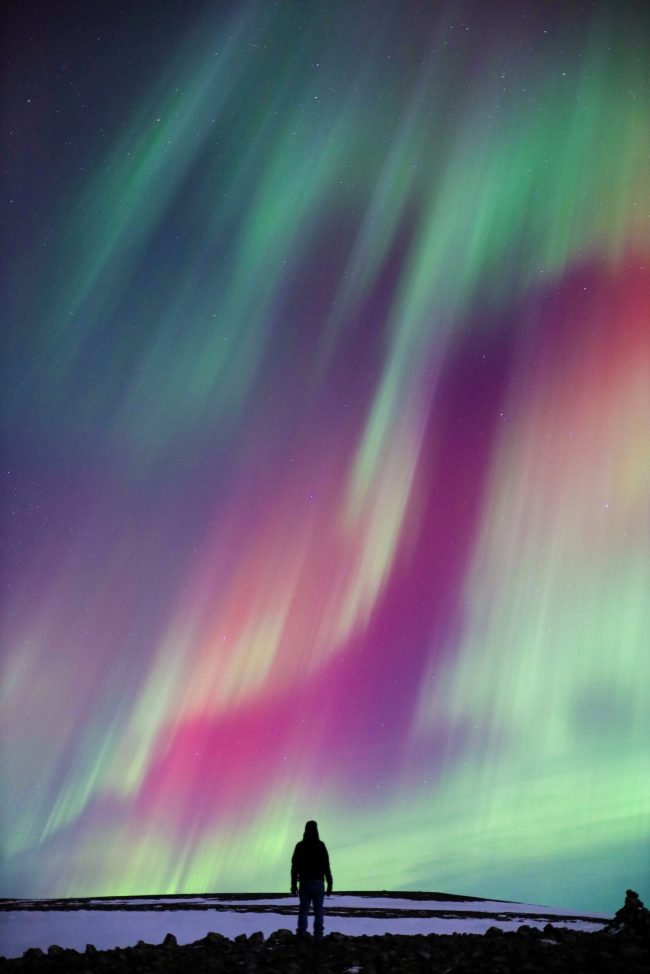 Aurora borealis and southern lights: Silhouette of standing person looking up at vertical green and red curtains of light.