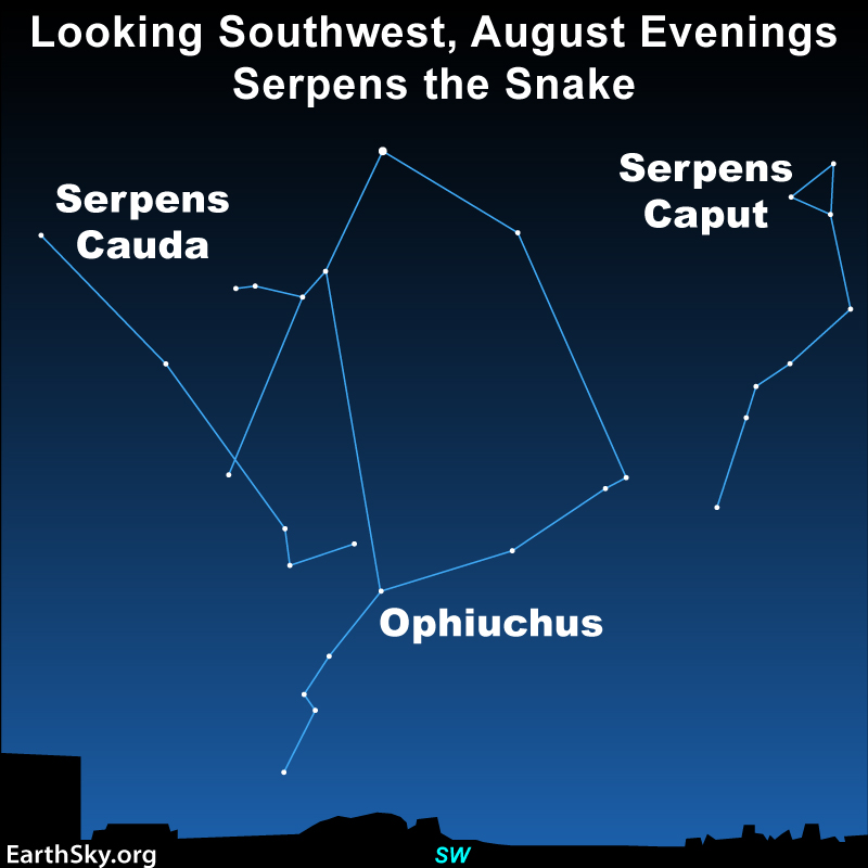 Serpens the Snake: Star chart showing Ophiuchus at center with lines and dots for Serpens Cauda and Serpens Caput on either side.