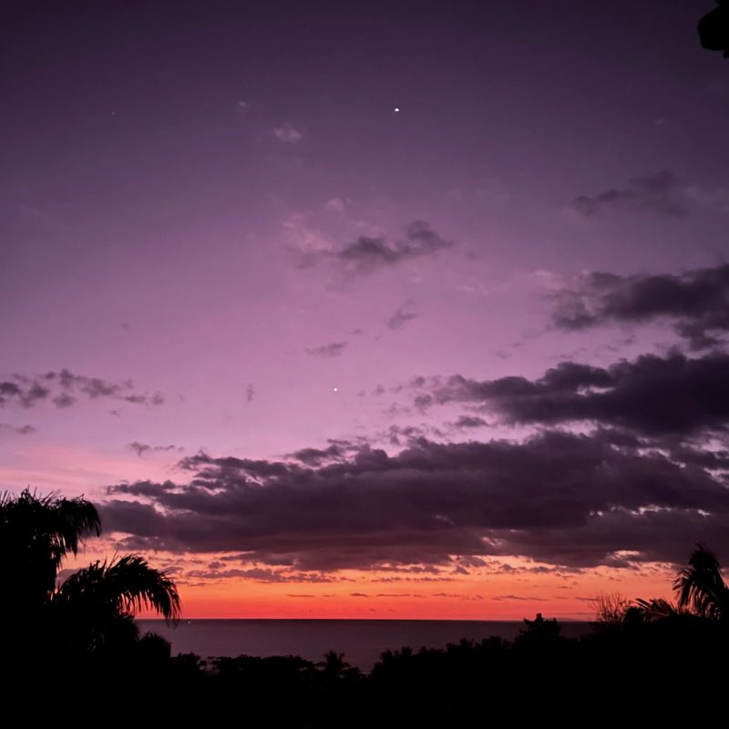 Venus and Jupiter in purple twilight sky, in a tropical setting, above an ocean.