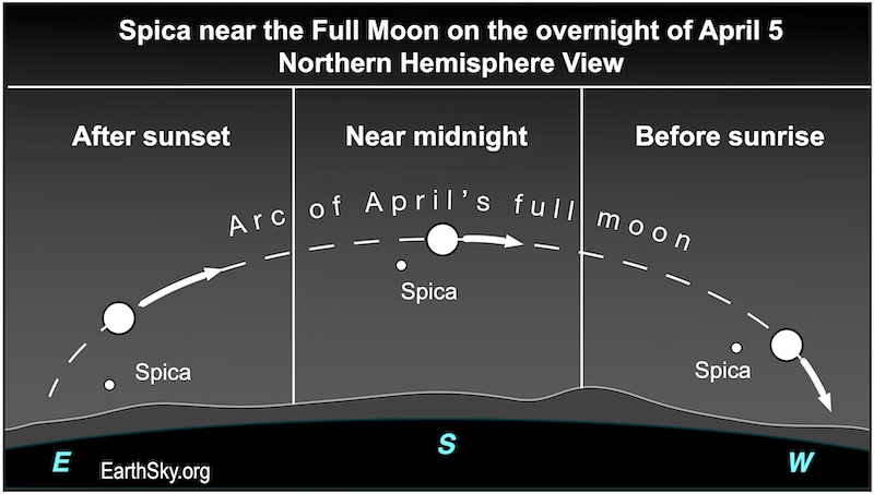 Arc of the April 2023 full moon for viewers in the Northern Hemisphere after sunset, near midnight and before sunrise.