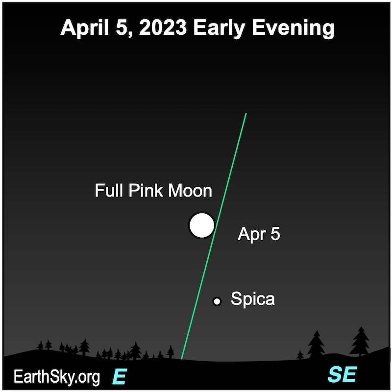 Full moon (bigger white dot) at top left of Spica (smaller white dot) on April 5.