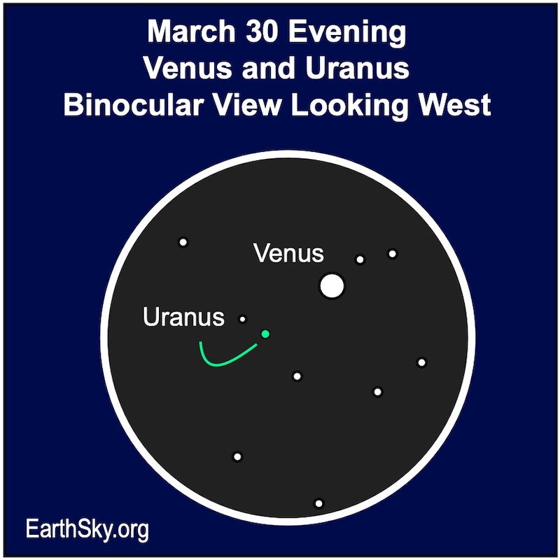 30 de marzo, Venus y Urano a través de binoculares.  Venus arriba a la derecha, más grande y brillante.