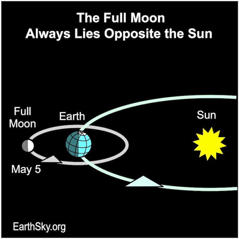 Full moon lies opposite the sun in the sky. Earth is between the moon at left, and the sun at right.