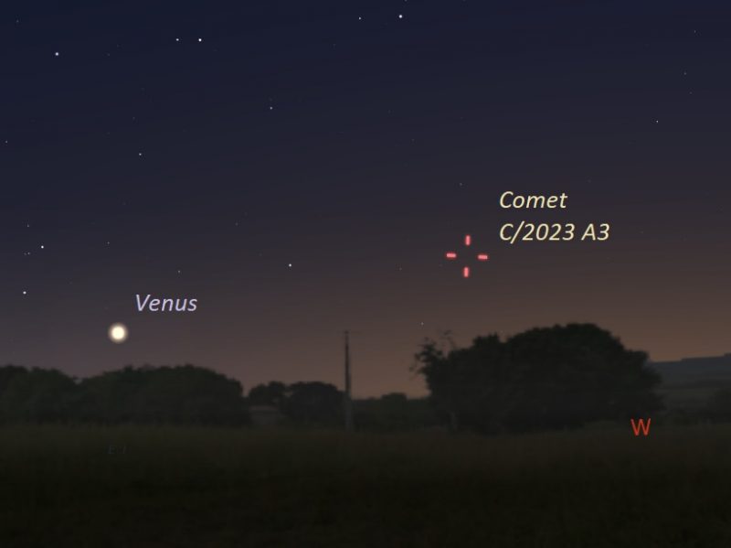Chart showing dot for Venus near trees and tick marks for comet slightly higher to the right.