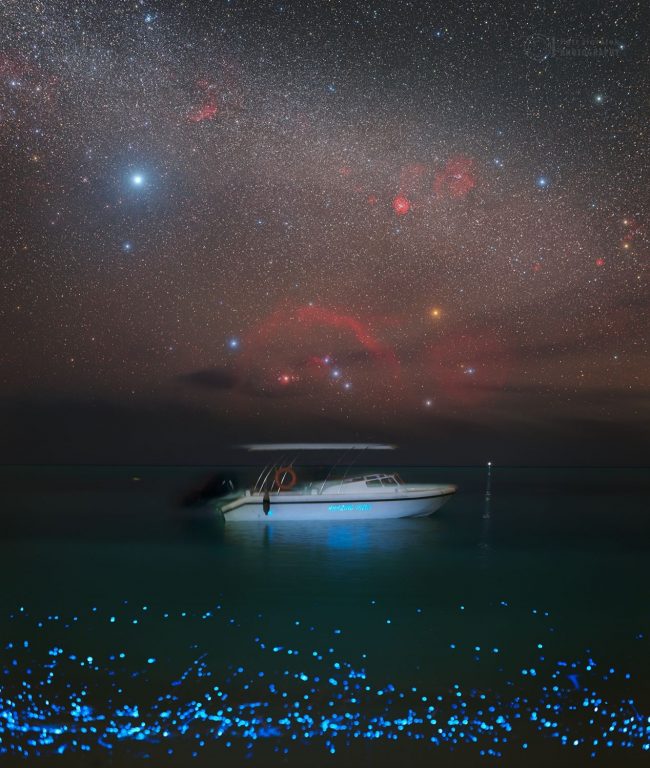 Boat floating on dark water with blue dots near the shore and a starry background.