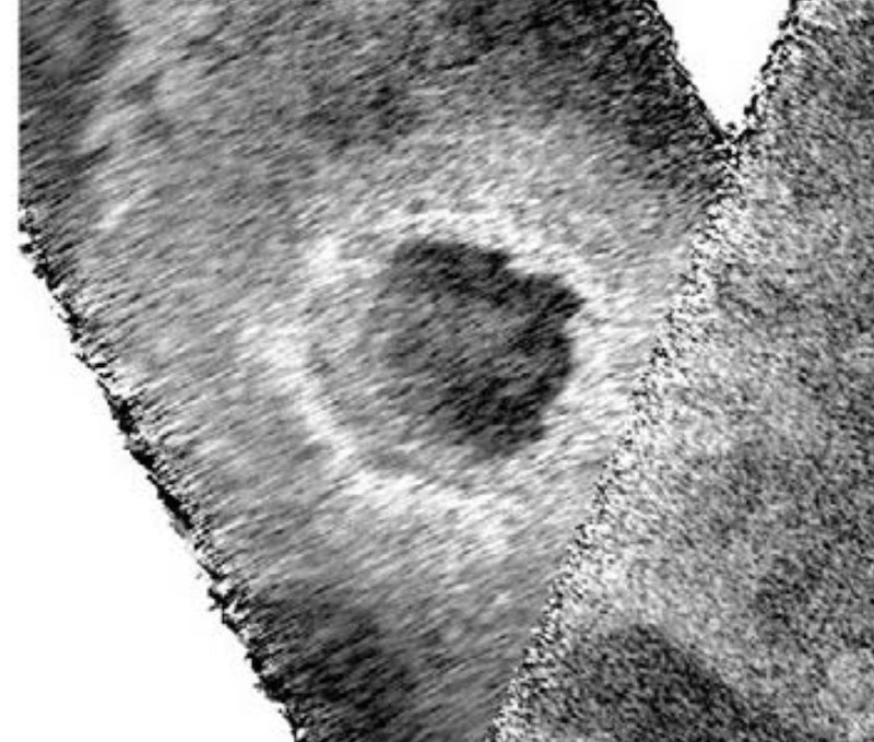 Orbital view of round crater on fuzzy-looking gray terrain.