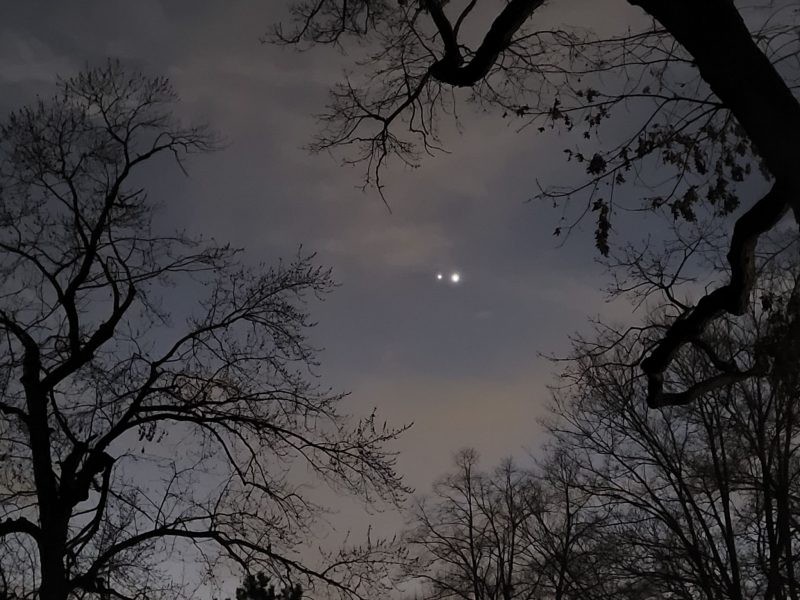 Looking up at the sky framed by tree branches, one bright and one dimmer light side by side.