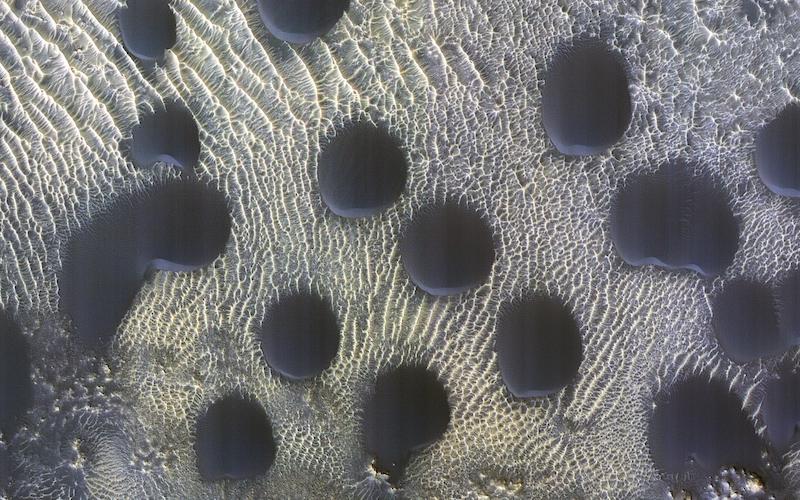Sand dunes on Mars: Round dark formations with much smaller ripples of lighter-colored sand between them.