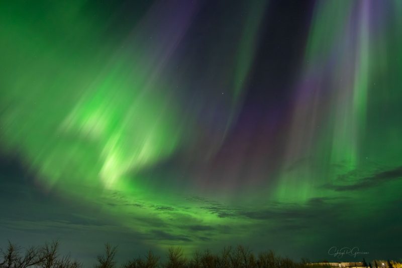 Green curtains or pillars with the base wavering into a curving shape for aurora in a dark sky.