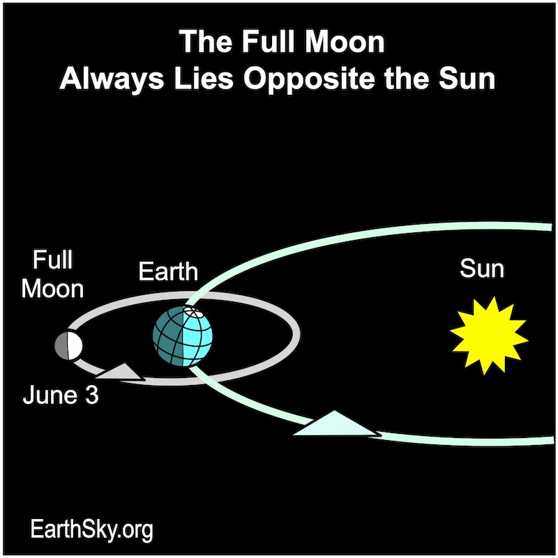 Diagram: Sun, with orbits of Earth and moon, showing moon on opposite side of Earth from the sun.