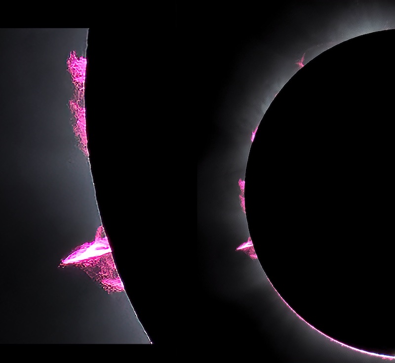 Eclipsed sun showing pink prominences on the limb.
