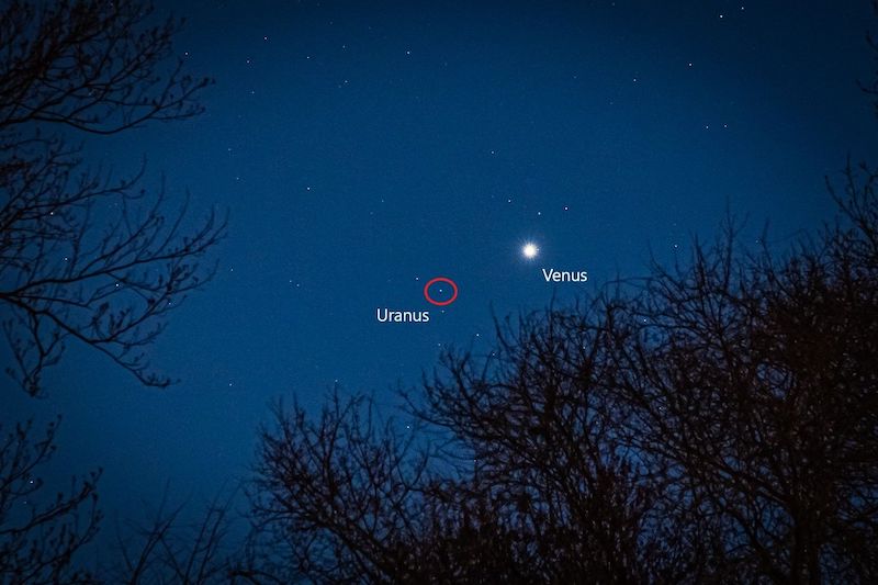 Venus brightest: Deep blue sky with scattered stars, small dot circled labeled Uranus, and larger dot labeled Venus.