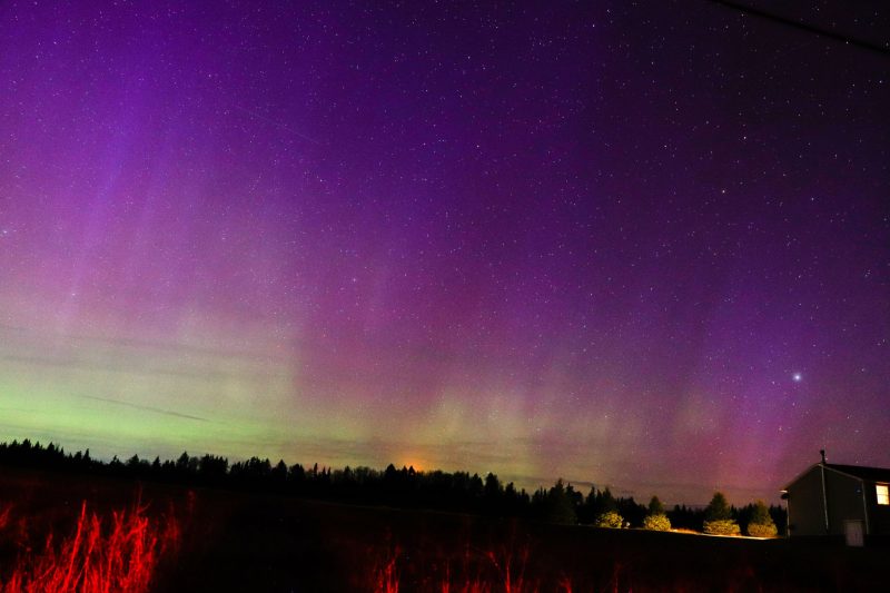 Parallel, tall, glowing purple streaks above green glow at forested horizon.