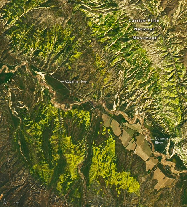 Satellite image with mountains shown in green and yellow.