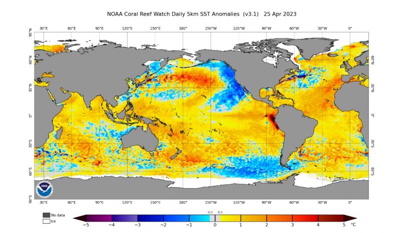 El Niño: Map of the globe showing colors for temperatures in the ocean.
