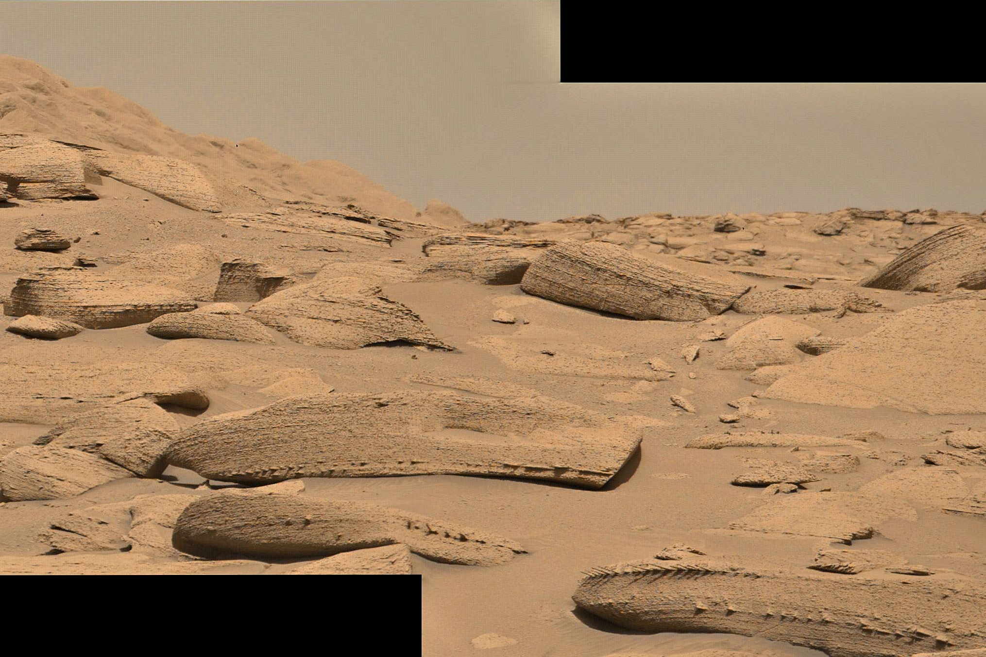 Dragon bones on Mars? Curiosity spies weird rocks