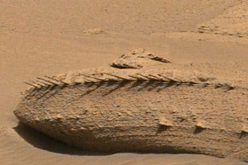 Dragon bones: Oblong rock with horizontal row of short, thin cylindrical spikes.
