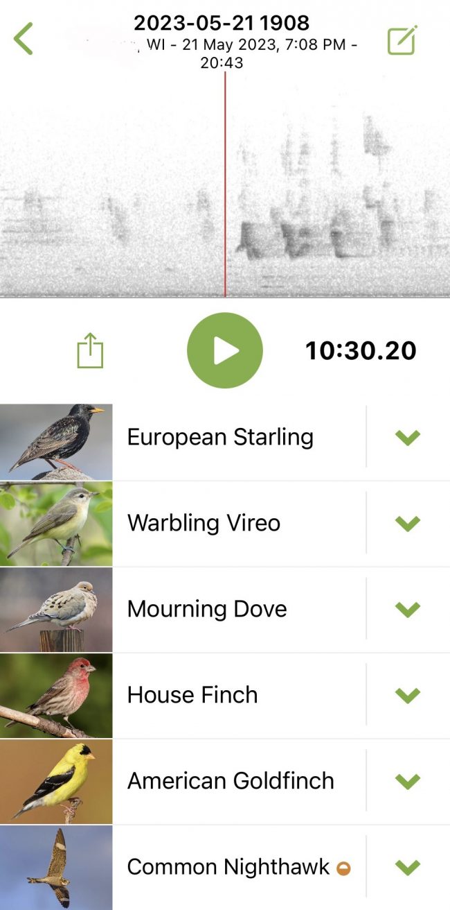 A visual of sound waves at top with a list of birds and an image of each below.