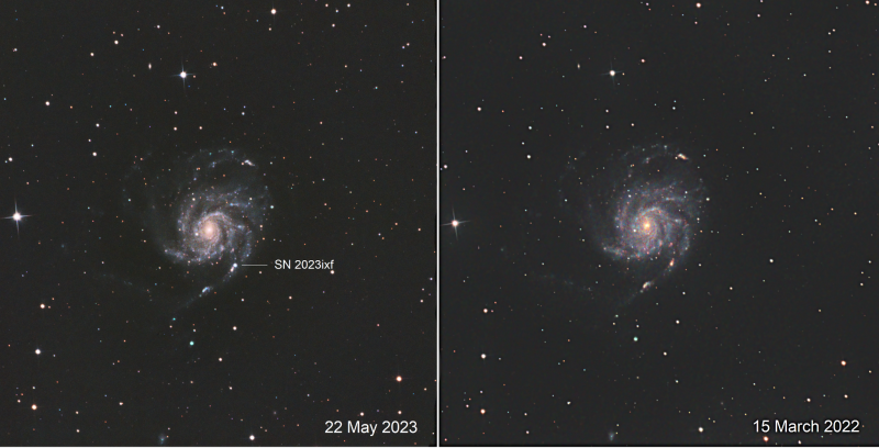 Same galaxy with different dates, SN2023ixf labeled in the left one. Dark sky, starry background.