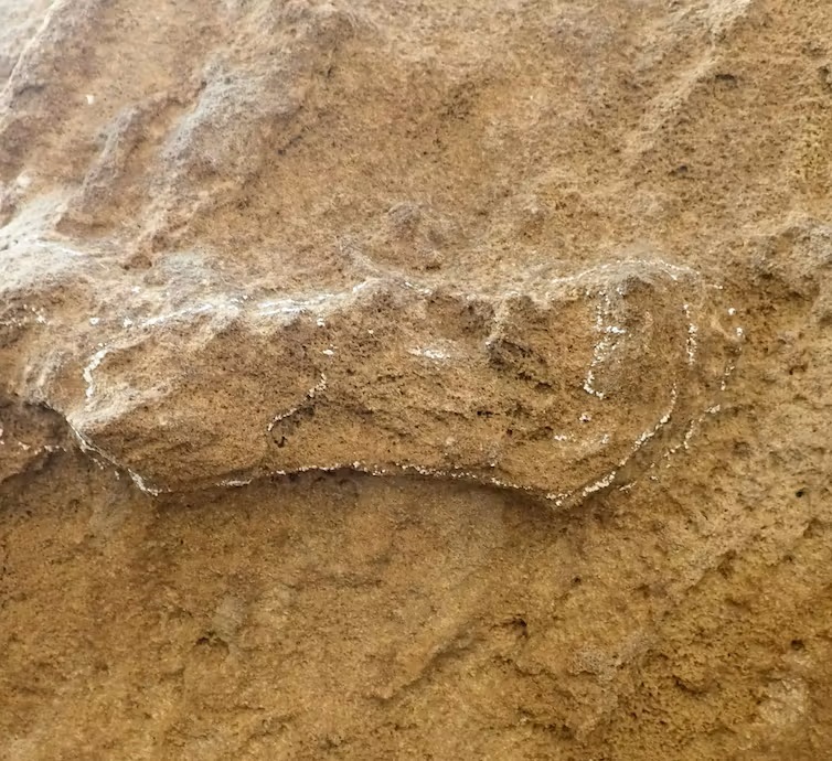 Oldest human footprint: Rocky ground with outline of a person's right foot.