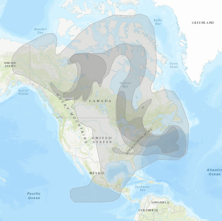 North America nearly covered in areas marked with gray shades.