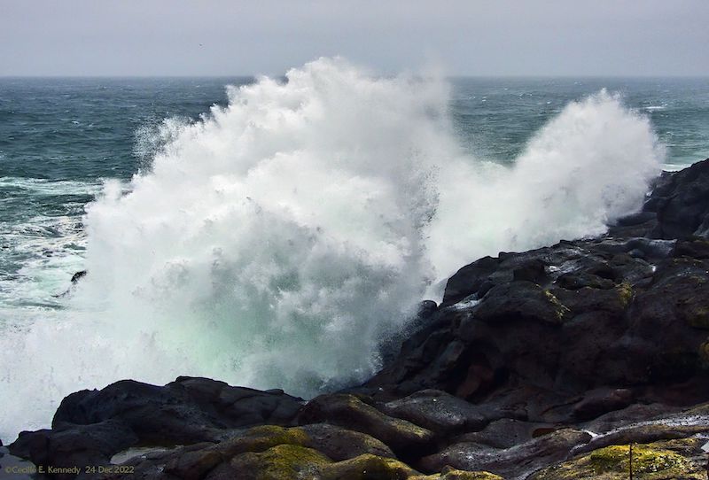 Large ocean wave crashing on a rocky beach.