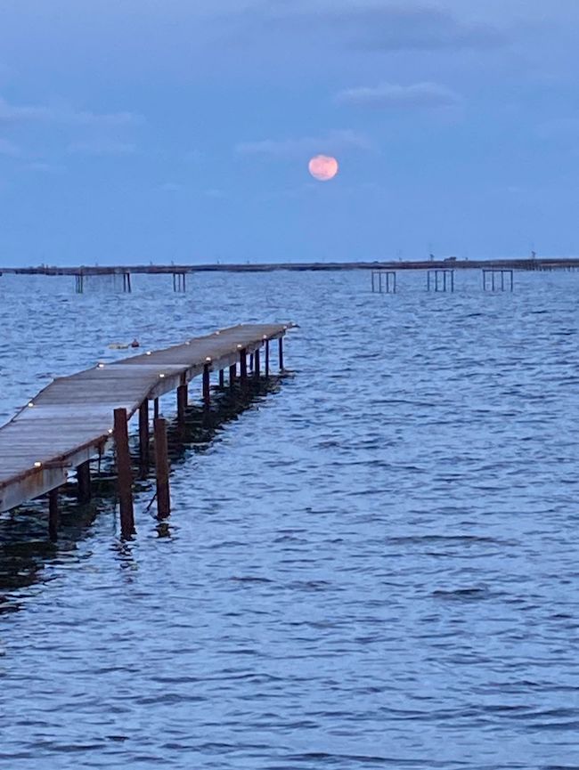 Pink moon over the ocean, with a pier in the foreground.
