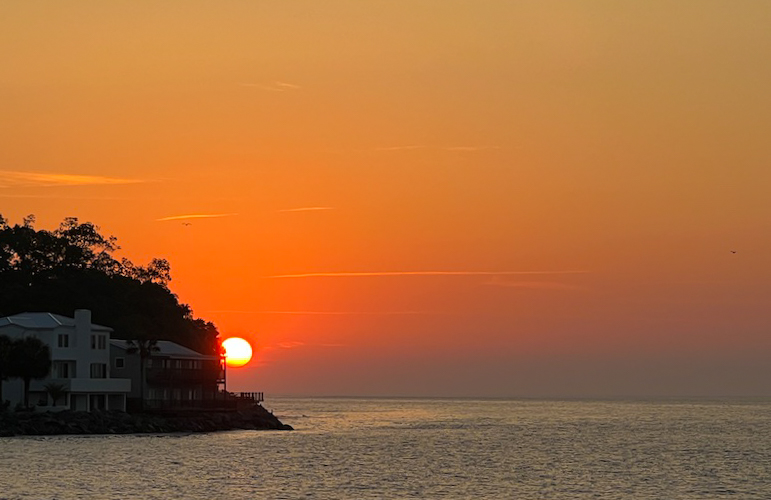 Sunrise over the ocean with orangish sky and trees surrounding houses on the side.