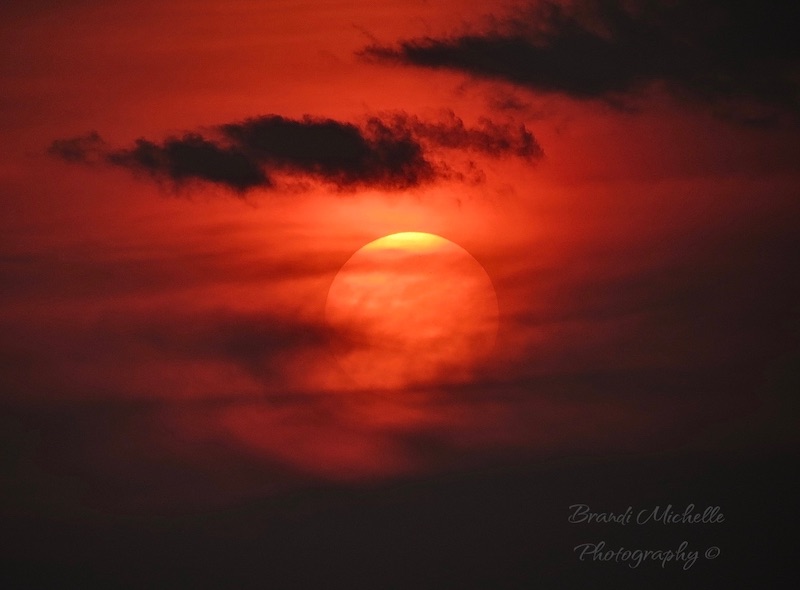 Reddish sunset picture with yellow sun behind veil-like red clouds.