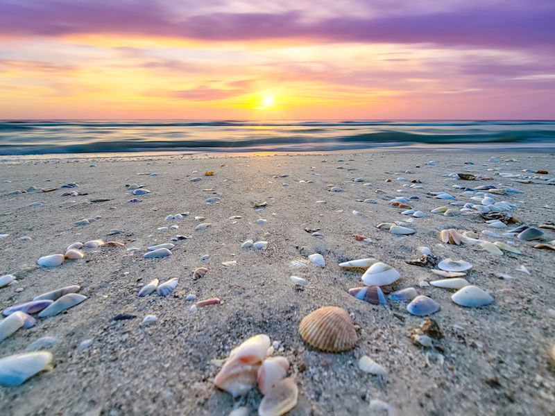 Best ocean photos: Sunrise over the ocean with lots of seashells on the beach.