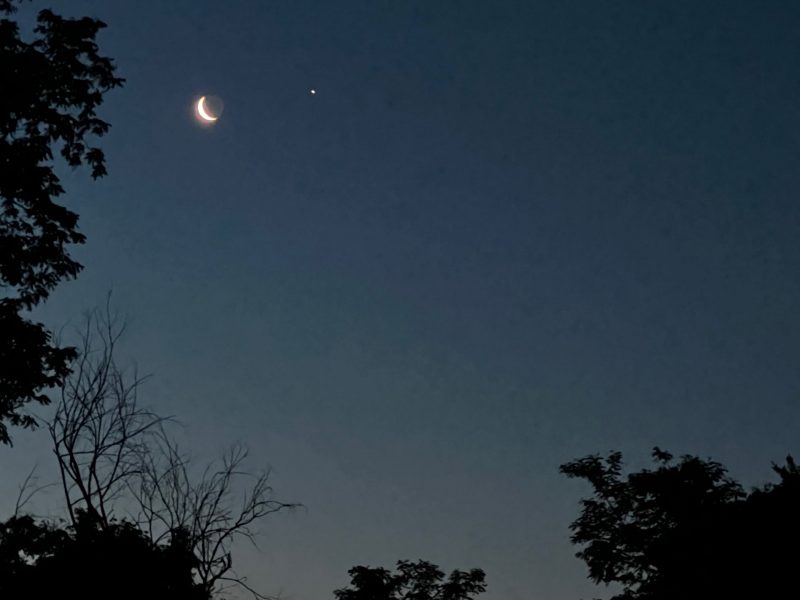 Crescent moon and bright planet, framed by trees.