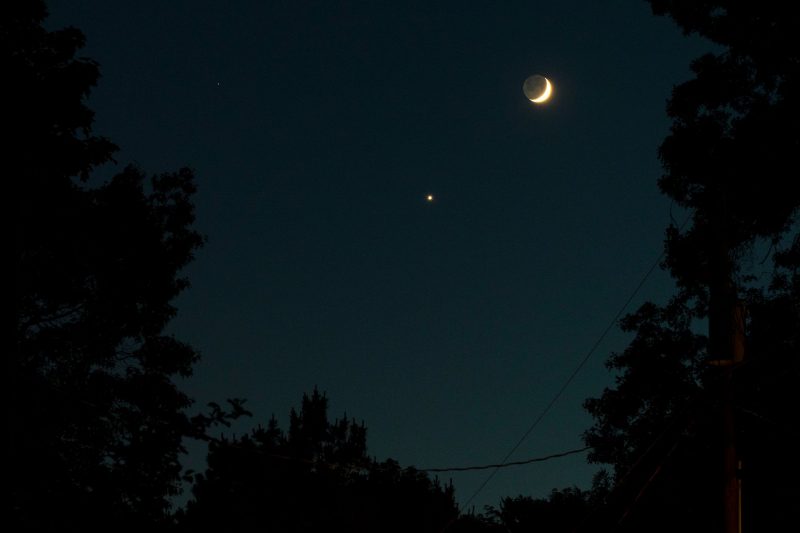 Black sky with 2 bright dots for the moon and Venus, and a smaller red dot for Mars. There are trees in the foreground.