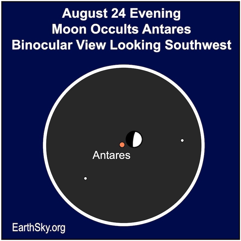 Round black field of view with moon next to red Antares in the center of the image. And 2 white dots at middle right and bottom left.