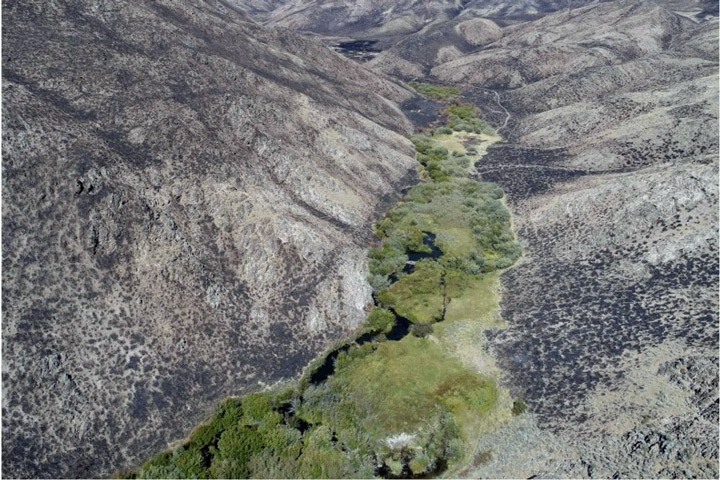 Beavers: A burn-scarred mountainous area with the valley showing green around a blue creek.