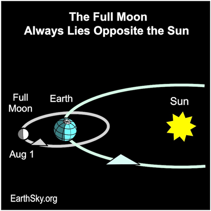 Diagram: Sun, with orbits of Earth and moon, showing moon on opposite side of Earth from the sun.
