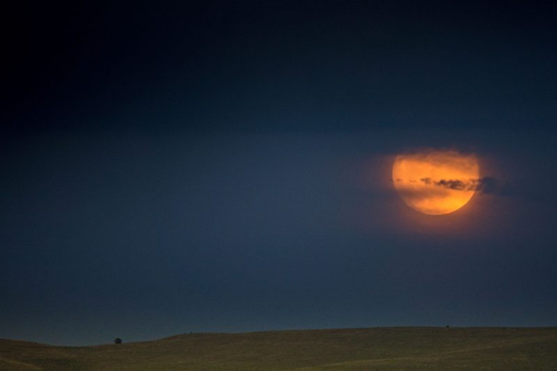 Shreds of dark clouds crossing an orange full moon in deep slate blue sky.