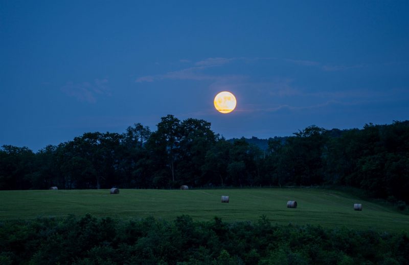 A glowing full moon with a pasture in front with hay bales in dim lighting.