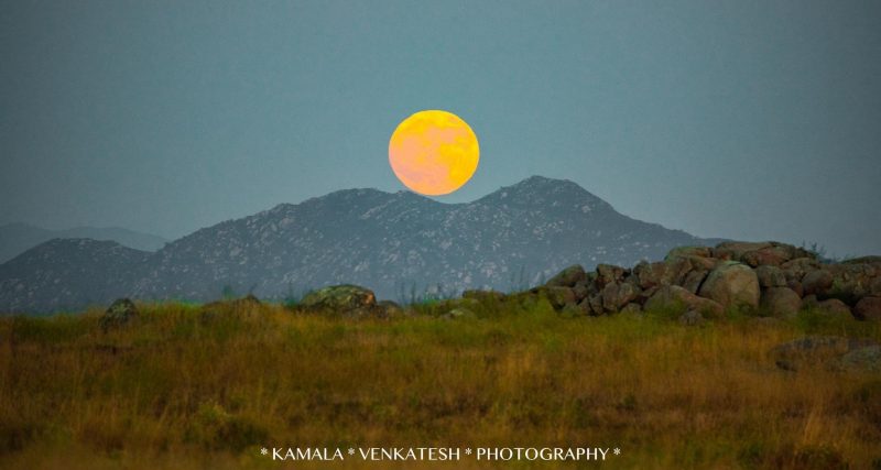 Large yellow moon over distant hill, in dry brushy desert landscape.
